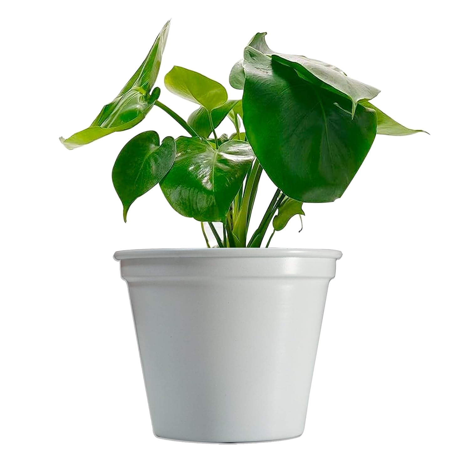 5 & 4 Inch Metal Planter Pots for Indoor Plants - Sturdy & Mordern Cylinder Plant Pot Matte White Plants Not Included