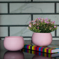 Flower Pot Plant Pots Round Metal Small PotsFlower Pots Solid Color Round Garden SuppliesPlanters with Drainage Holes Succulent Planting Pots House Plants, Succulents, Flowers Pink Set of 2